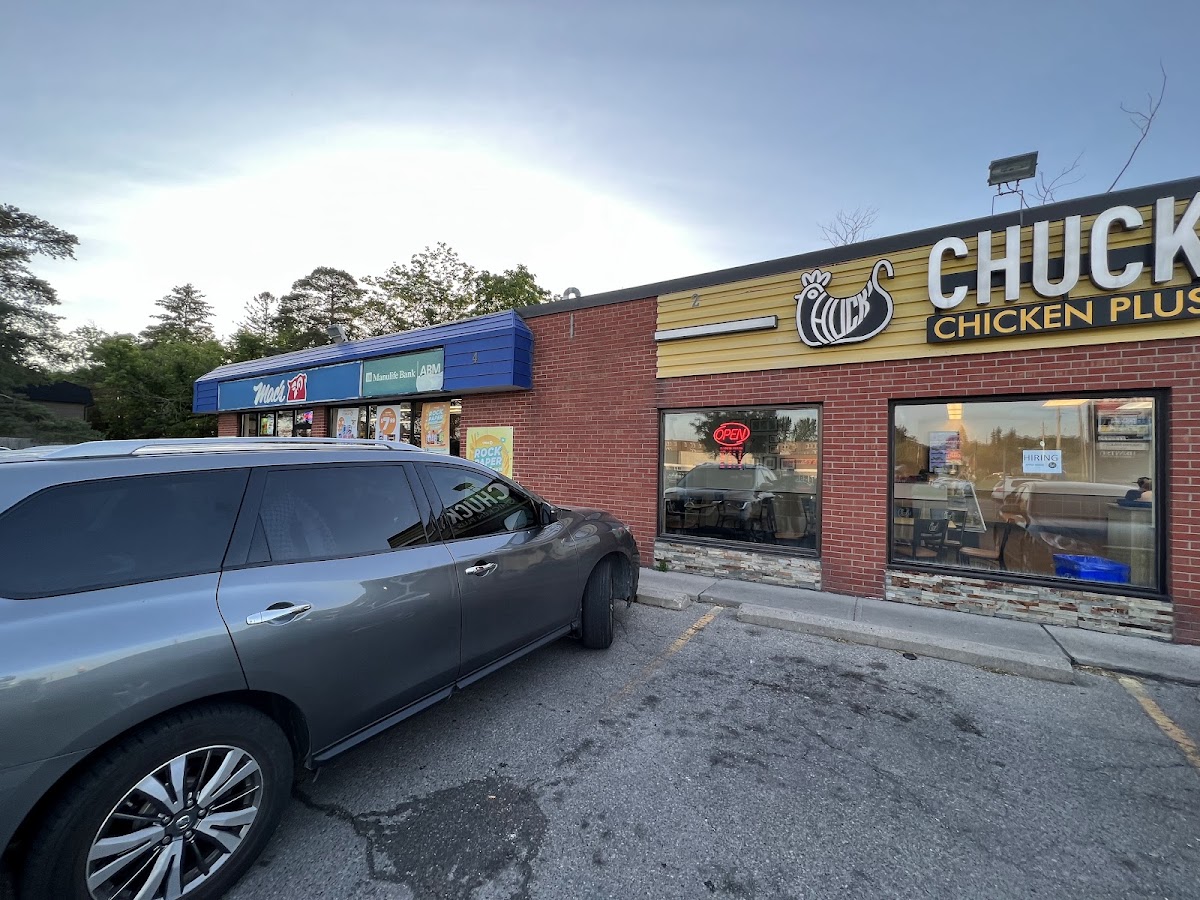 Hunny Benny Chicken Plus (Aurora)